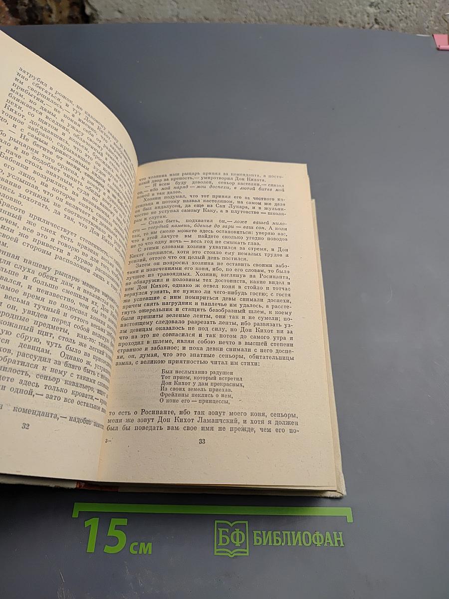 Хитроумный идальго Дон Кихот Ламанчский. Часть I