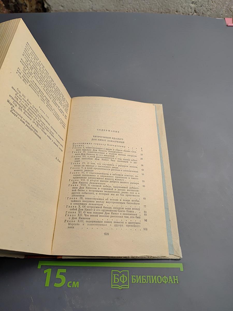 Хитроумный идальго Дон Кихот Ламанчский. Часть I