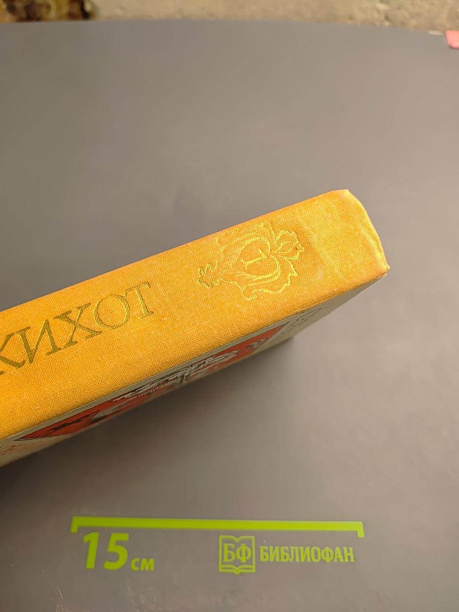 Хитроумный идальго Дон Кихот Ламанчский. Часть I