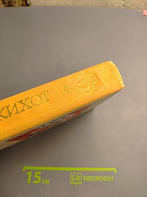 Хитроумный идальго Дон Кихот Ламанчский. Часть I