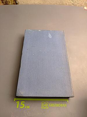 Дикое счастье. Именинник (Том 4)