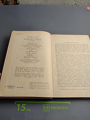 Писатели о писателях. Годы в Вольфенбюттеле. Жизнь Жан-Поля Фридриха Рихтера