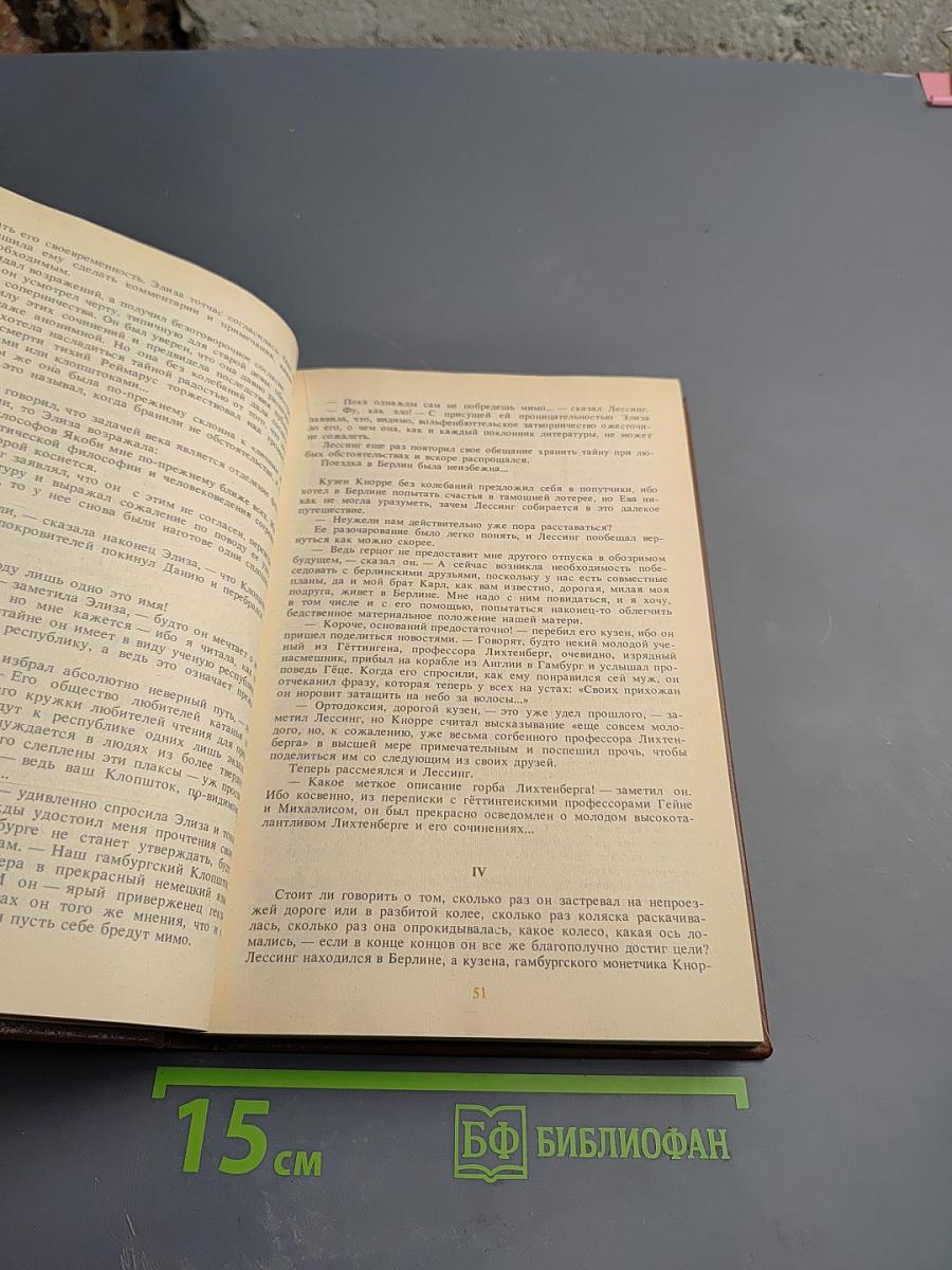 Писатели о писателях. Годы в Вольфенбюттеле. Жизнь Жан-Поля Фридриха Рихтера