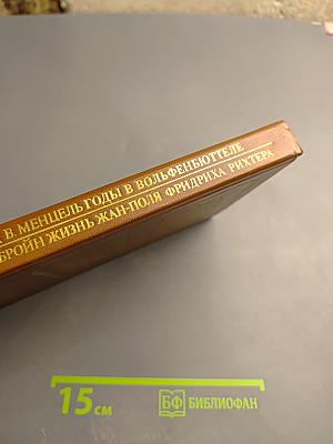 Писатели о писателях. Годы в Вольфенбюттеле. Жизнь Жан-Поля Фридриха Рихтера