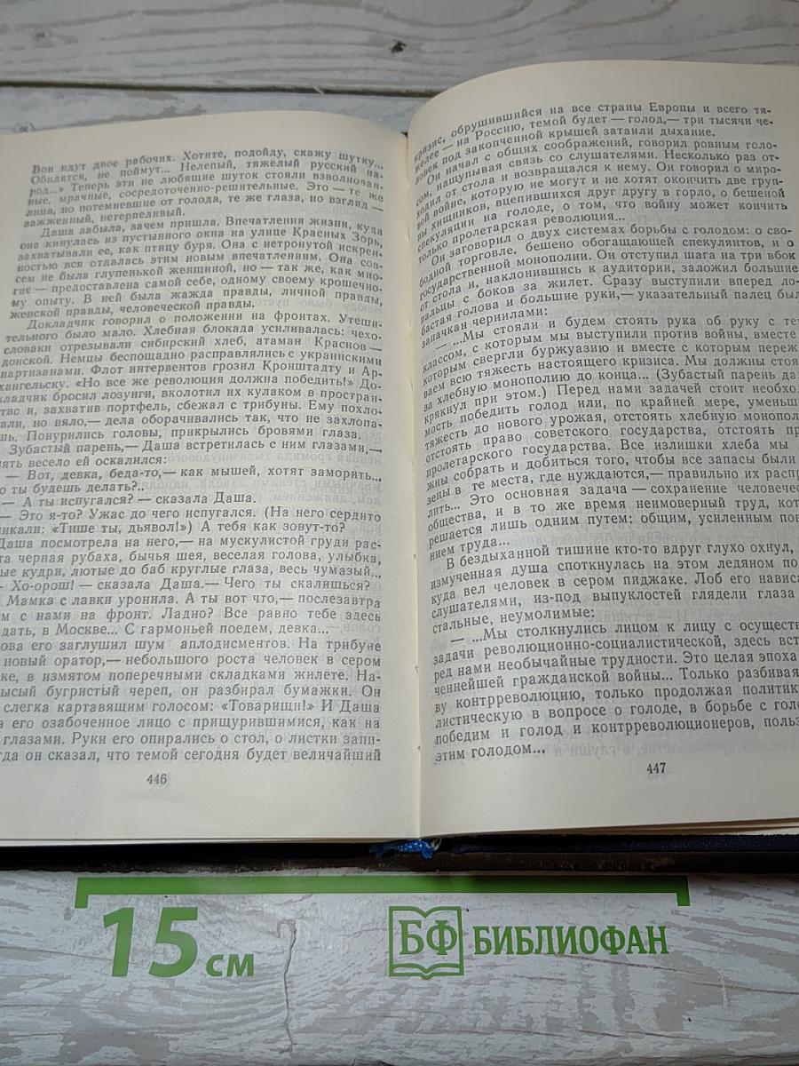 Хождение по мукам