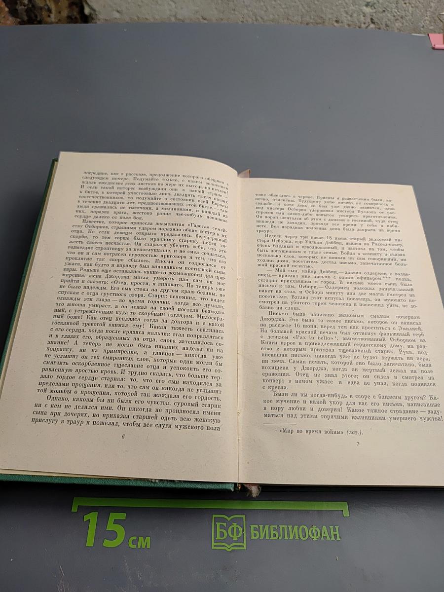 Ярмарка тщеславия. Роман без героя. Том II