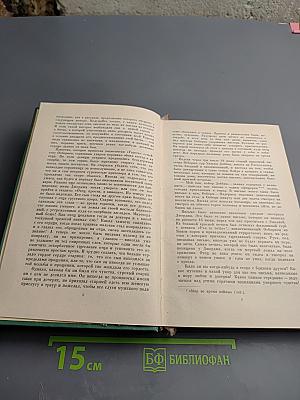 Ярмарка тщеславия. Роман без героя. Том II