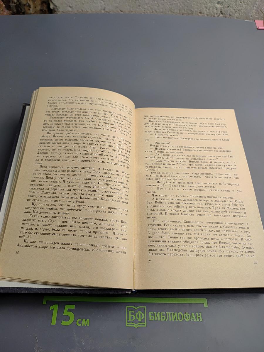 Дело султана Джема