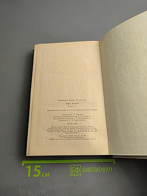 Щит и меч. Книга 1