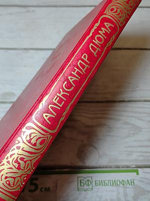 Две Дианы. Приключения Джона Девиса. Книга вторая