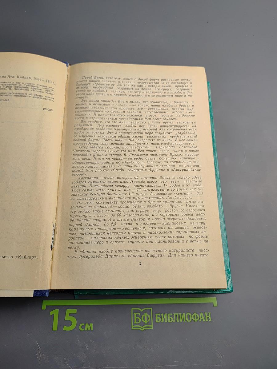 Великаны и пигмеи