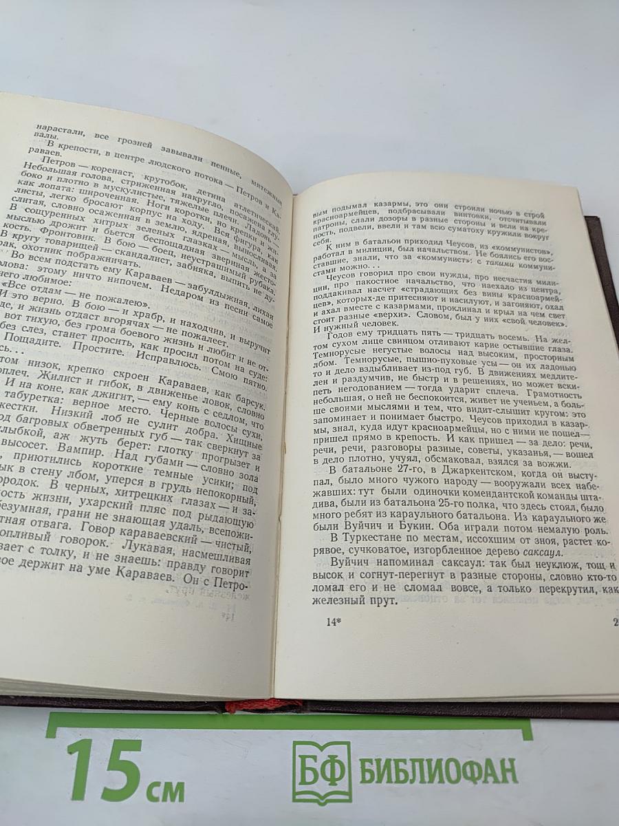 Мятеж. Том второй