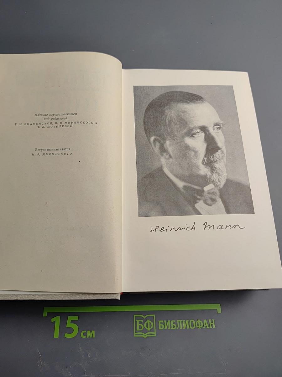 Генрих Манн. Сочинения. Том первый