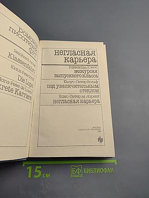 Негласная карьера