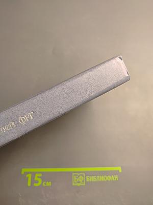 Негласная карьера