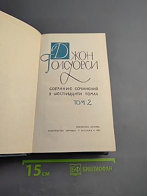 Собрание сочинений в шестнадцати томах. Том 2. Сага о Форсайтах. В петле