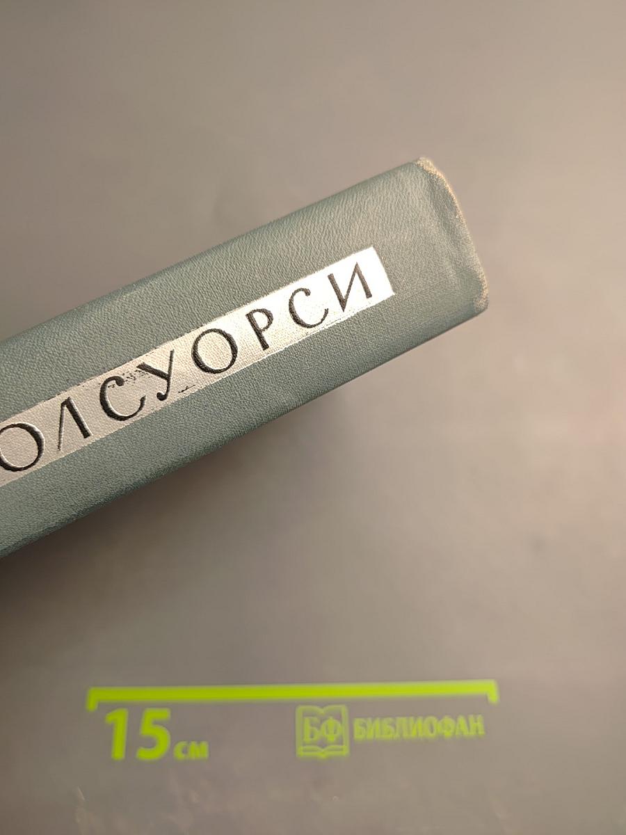 Собрание сочинений в шестнадцати томах. Том 2. Сага о Форсайтах. В петле