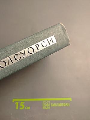 Собрание сочинений в шестнадцати томах. Том 2. Сага о Форсайтах. В петле