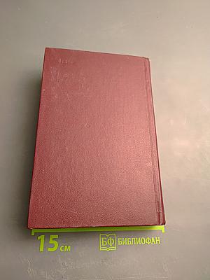 Н. Г. Чернышевский в воспоминаниях современников