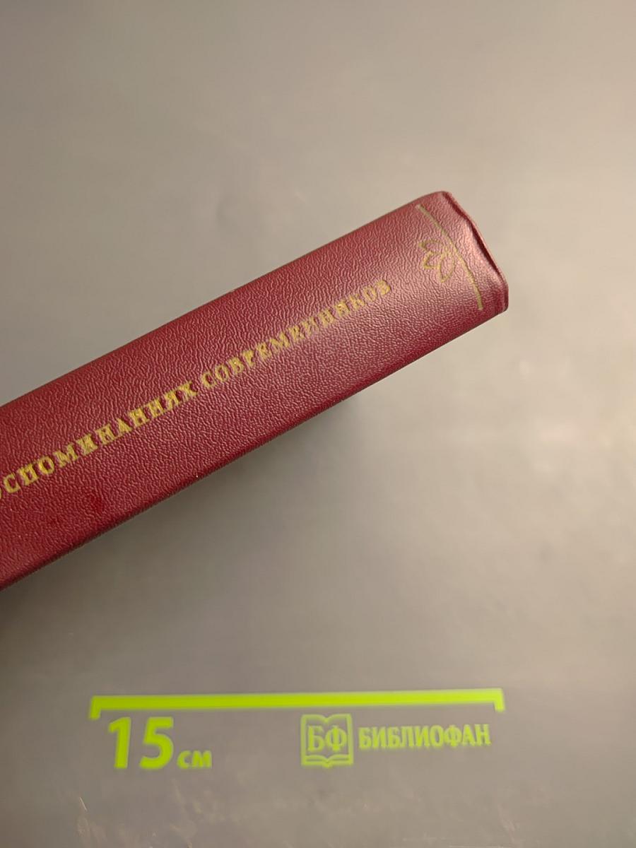 Н. Г. Чернышевский в воспоминаниях современников