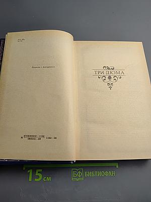 Три Дюма. Литературные портреты