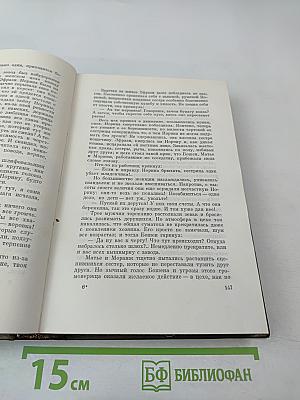 Собрание сочинений. Том двадцатый. Четвероевангелие: Плодовитость