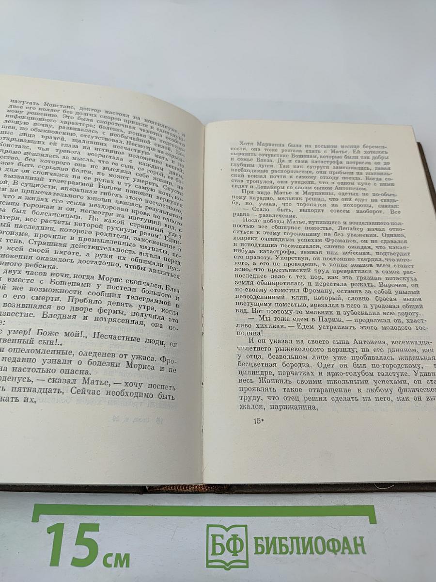 Собрание сочинений. Том двадцатый. Четвероевангелие: Плодовитость