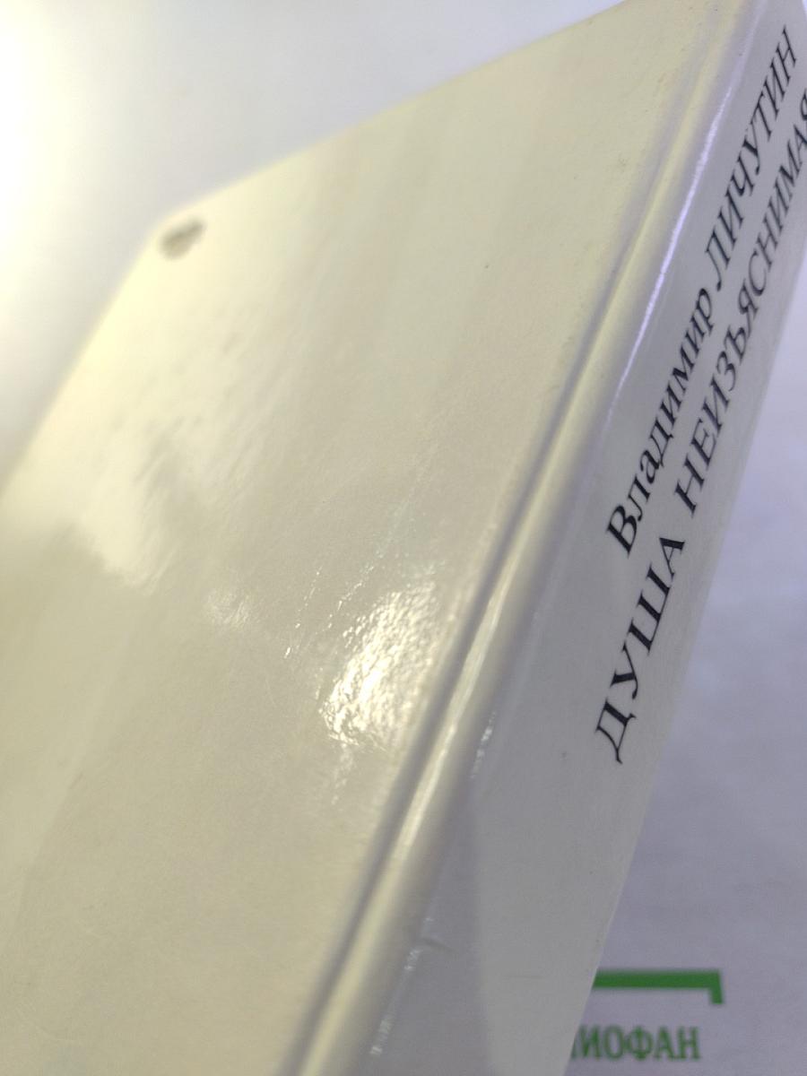 Душа неизъяснимая. Размышления о русском народе