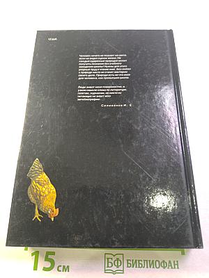 И была жизнь...