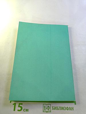 Теория и практика комплексных экологических экспертиз