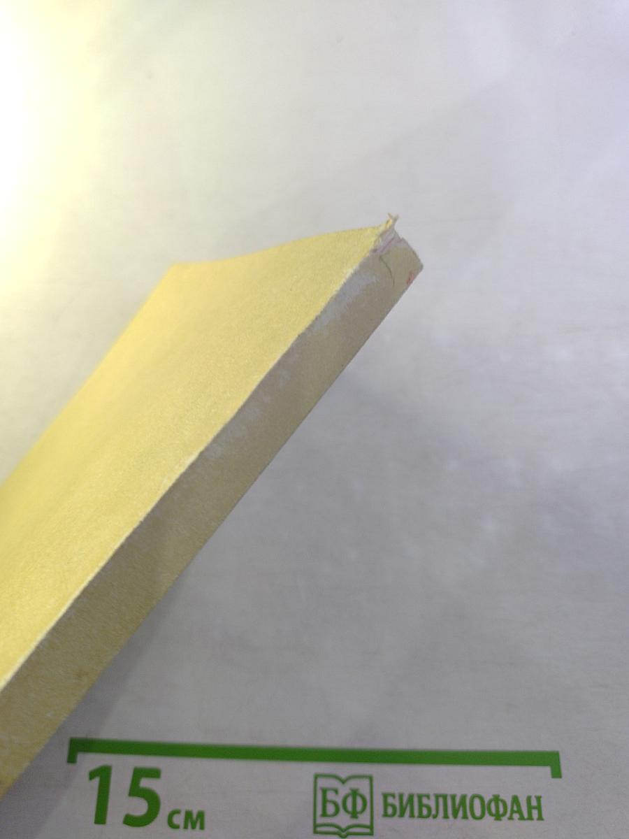 Киевские подвижники благочестия Том II