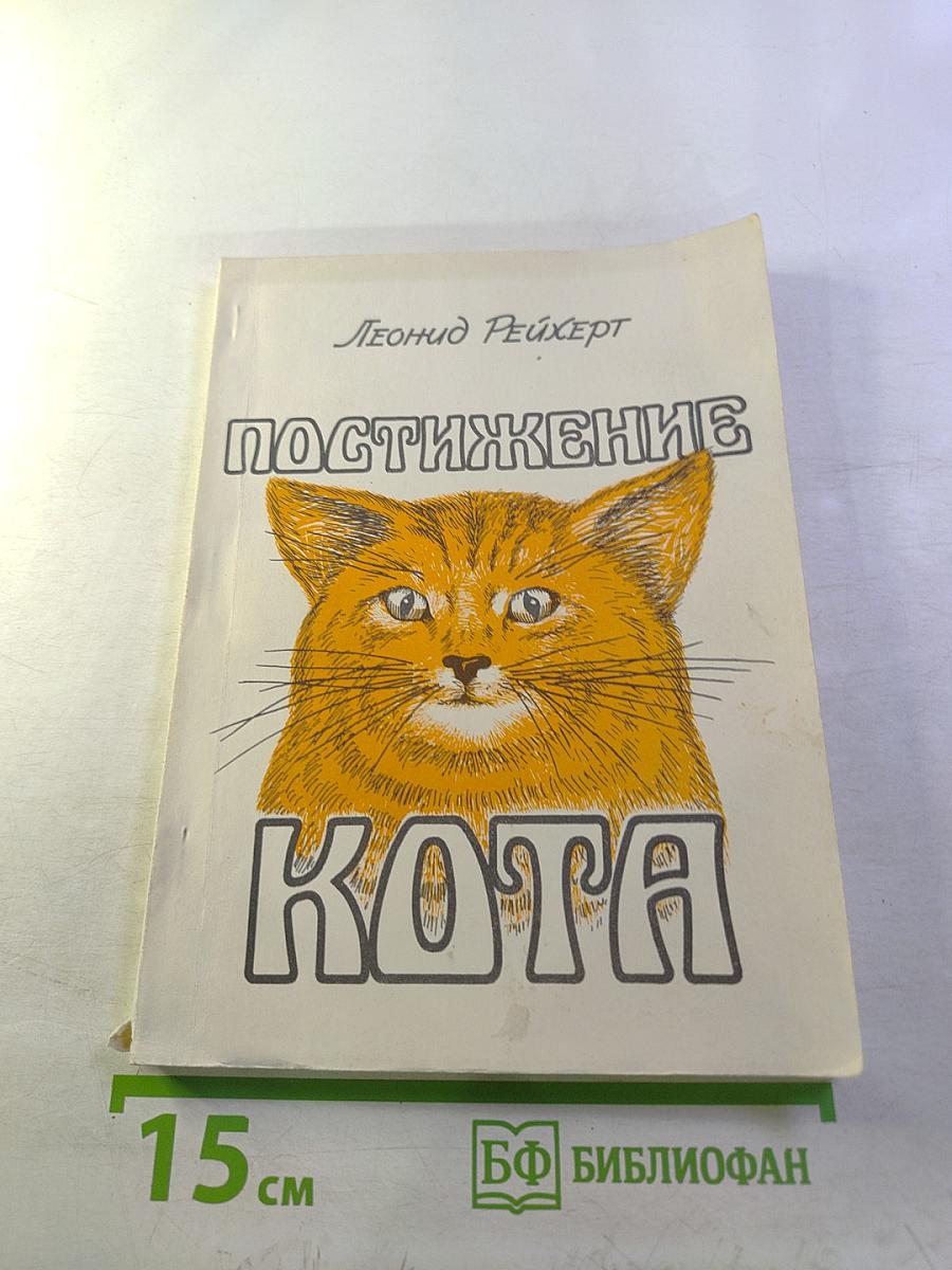 Постижение кота