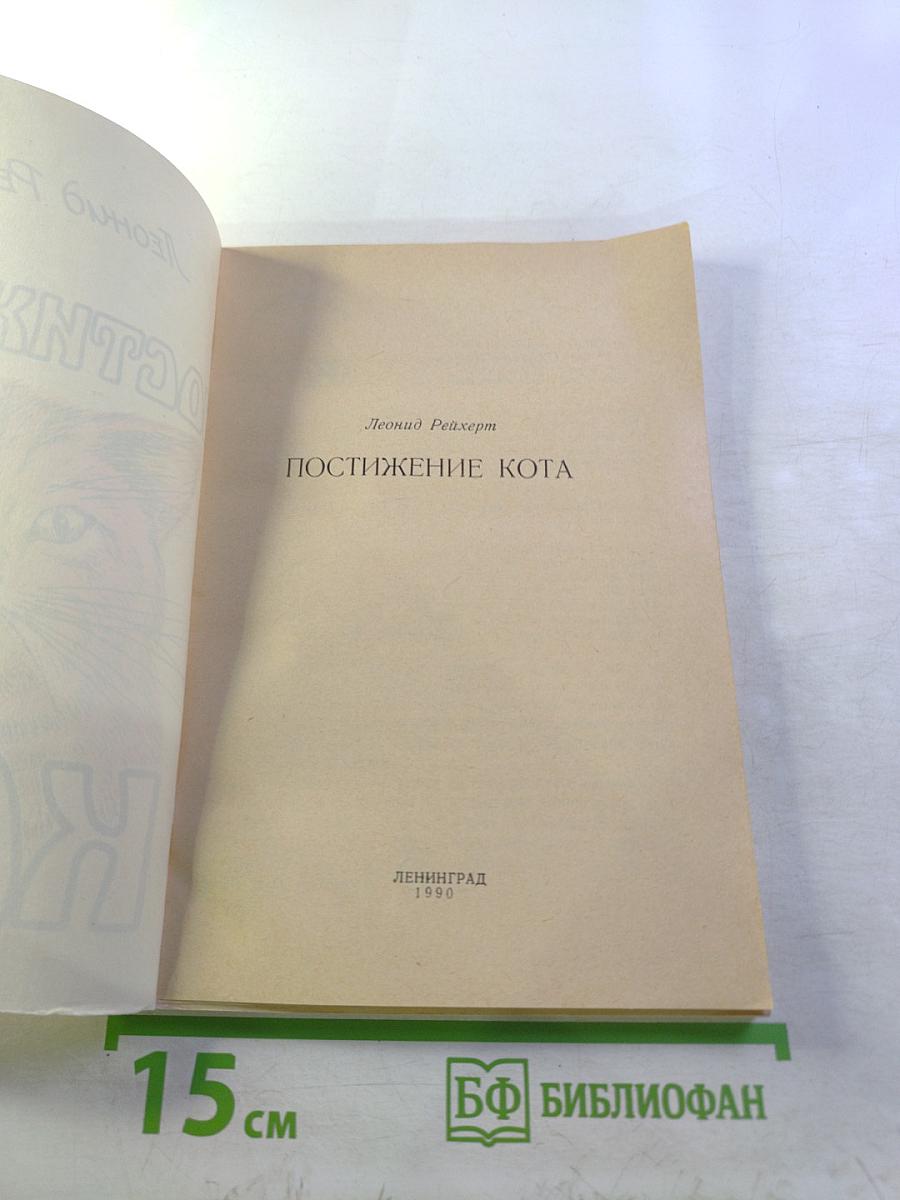 Постижение кота