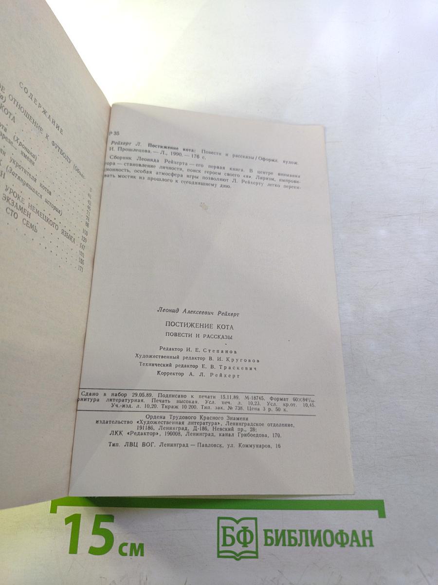 Постижение кота