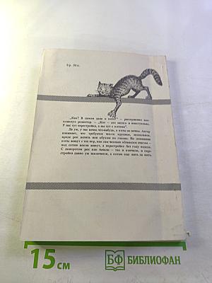 Постижение кота