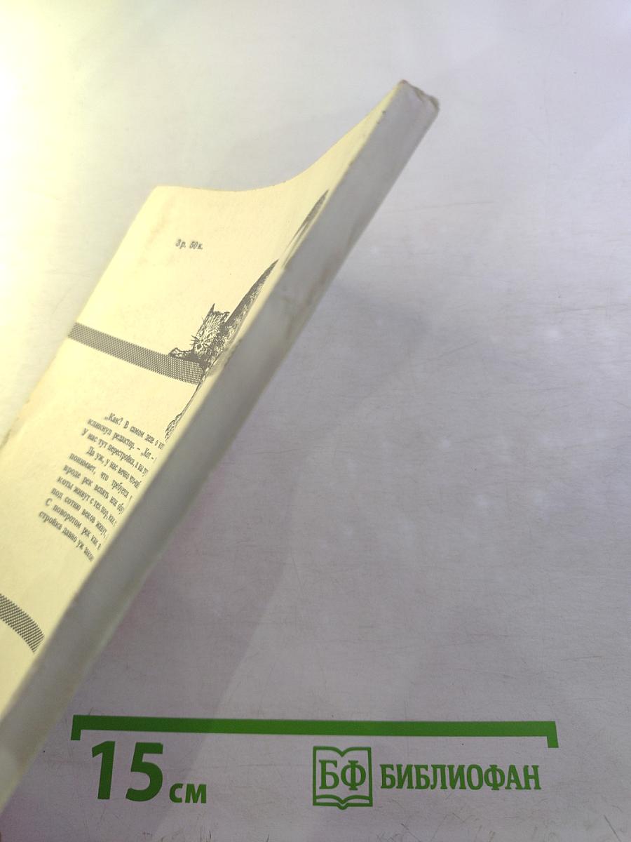 Постижение кота