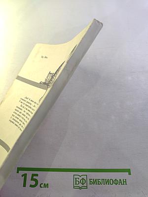 Постижение кота