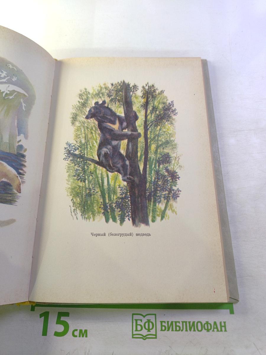 Крупные хищники