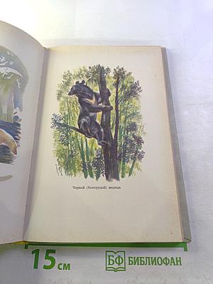 Крупные хищники