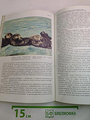 От кобры до медведя гризли