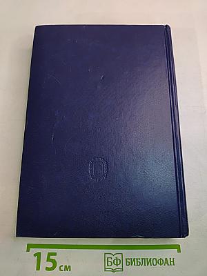 Очерки по истории Русской церкви. Том II