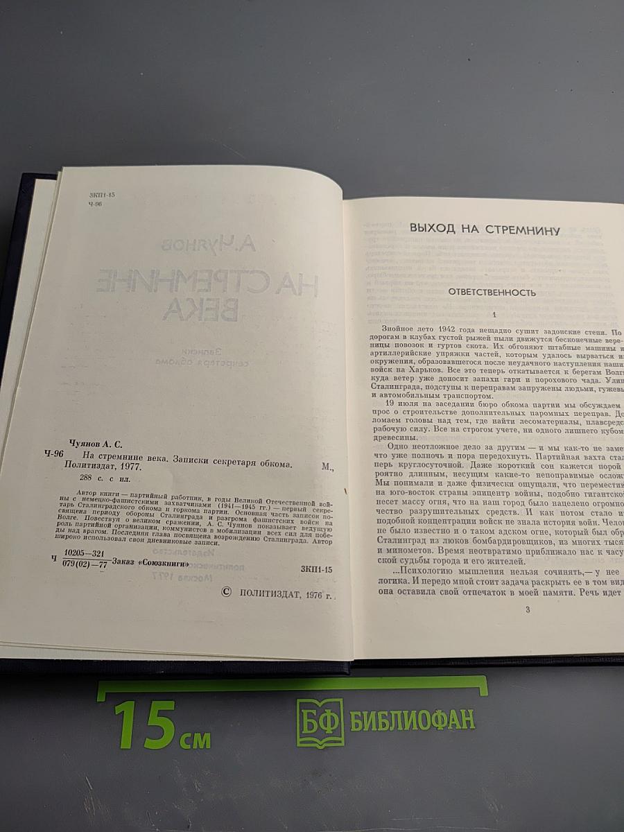 На стремнине века