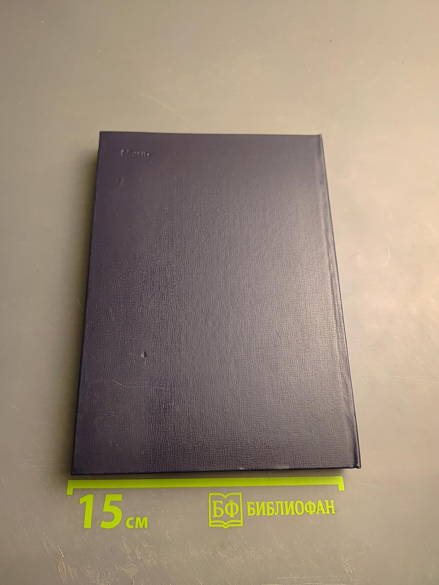 На стремнине века