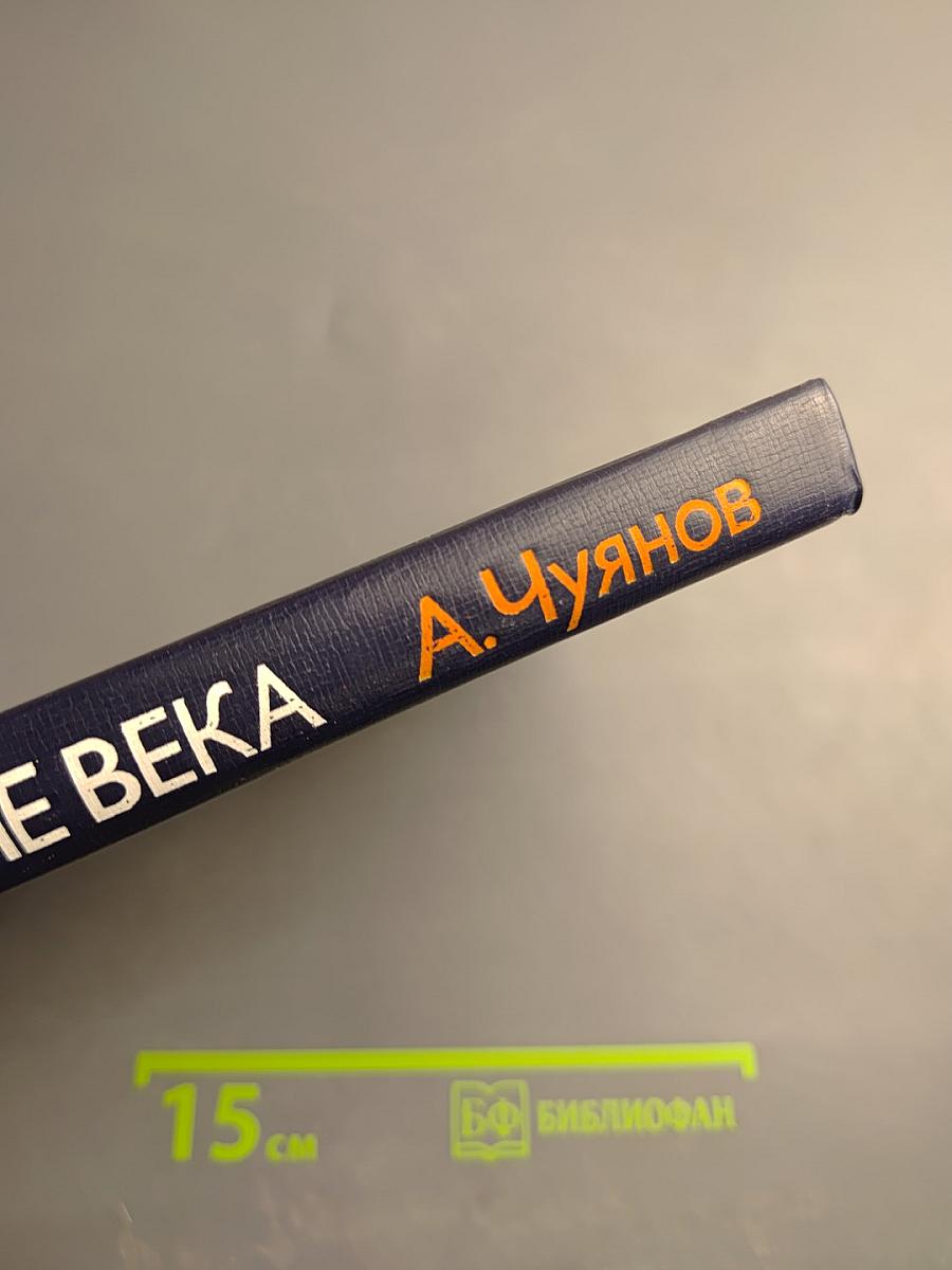 На стремнине века