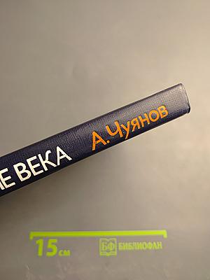 На стремнине века