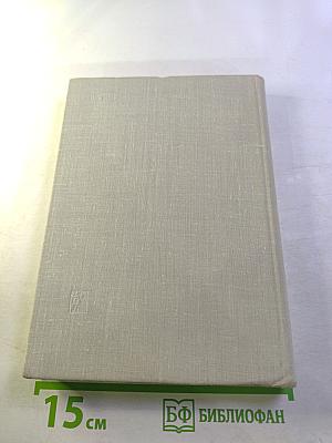 Великий освободительный поход