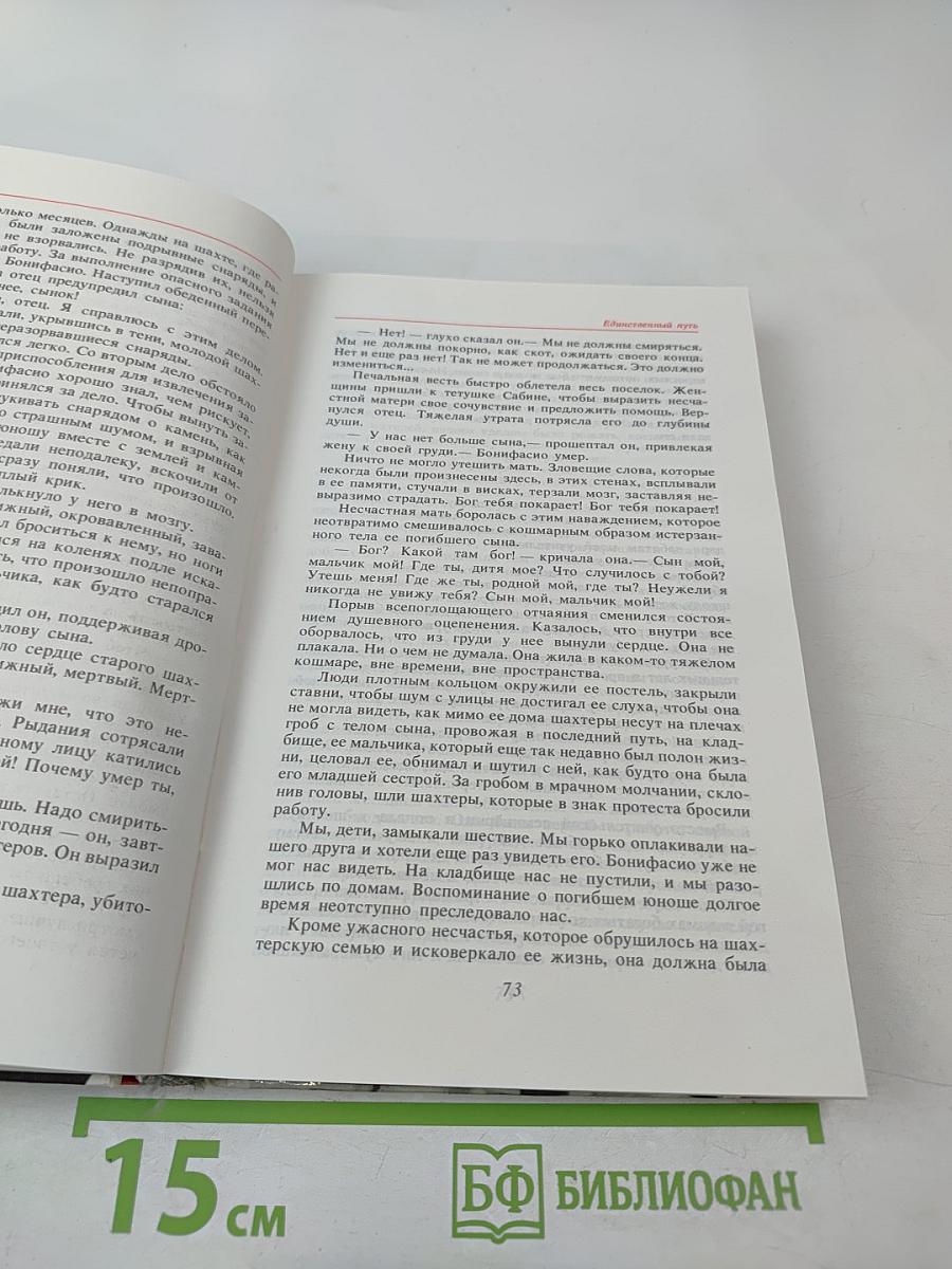 Единственный Путь. Воспоминания. Книга 1