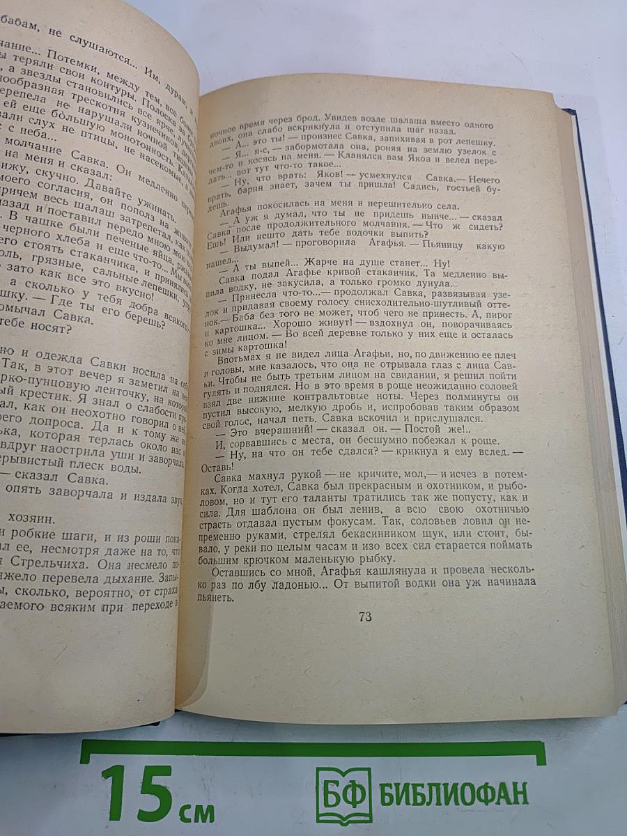 Собрание сочинений. Том 4: Рассказы 1886