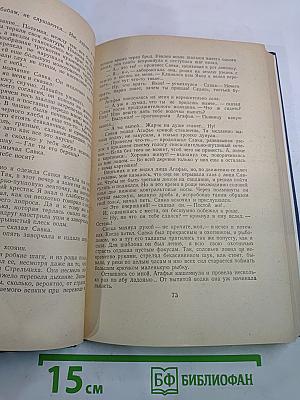 Собрание сочинений. Том 4: Рассказы 1886