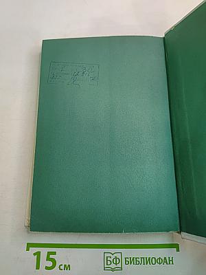 Верен до конца